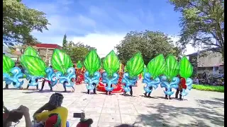 10th Sangkaan Festival Tandag City "TELAJE ELEMENTARY SCHOOL 2022" 2nd Runner up🎉