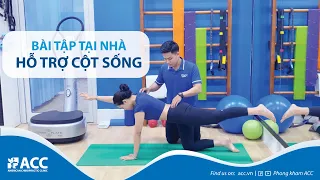 [ACC] Bài tập tăng sức khoẻ cột sống tại nhà - Giảm đau lưng do thoát vị đĩa đệm