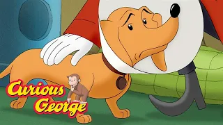 Curious George 🐵 Hundley is ill 🐵 Kids Cartoon 🐵 Kids Movies 🐵 Videos for Kids