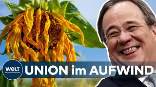 GRUNE verlieren an Boden - UNION baut Vorsprung aus | Forsa-Umfrage zur Bundestagswahl