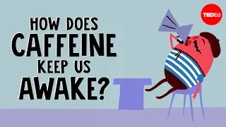 How does caffeine keep us awake? - Hanan Qasim