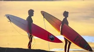 Vintage Surfboard Collector Club at Daydream Surf Shop - Newport Beach, CA - 2024