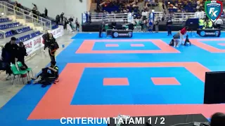 Tatami 1 and 2 Italian National Championships