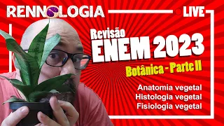 Revisão ENEM 2023 - Botânica - Parte II