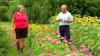 From the Ground Up - Vegetables Love Flowers