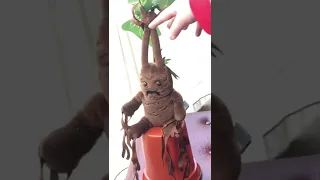 Harry Potter Mandrake Pot