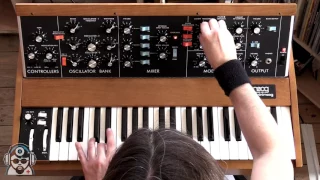 The New Minimoog Model D In Action
