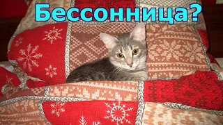 Бессонница? (кошачья колыбельная)