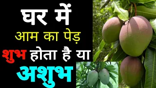 आम का पेड़ घर में लगाना शुभ या अशुभ? Know Planting Mango Tree is good or not?