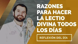 Razones para hacer la Lectio Divina todos los días | Reflexión del día