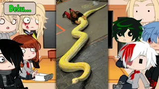 MHA/BNHA Character React to Deku's Pets +more/Viral/Funny Trending Tiktok/MHA/BNHA/Gacha Club #9