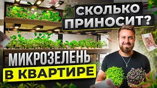 Как сделать МИЛЛИОН с 5.000 в квартире?