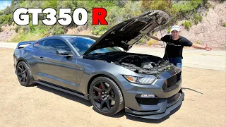 Ford Shelby GT350R Review *BETTER Than A GT500??*