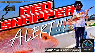 RED SNAPPER ALERT... LIGHT TACKLE TACTICS