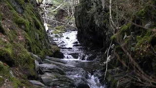 Rawdon Brook Fall