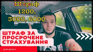 Штраф за відсутність страхування автомобіля у Польші 2022