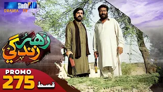 Zahar Zindagi - Ep 275 Promo | Sindh TV Soap Serial | SindhTVHD Drama