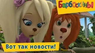 Вот так новости! - Барбоскины - Сборник мультфильмов 2019