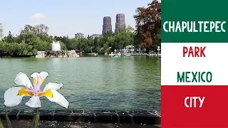 Chapultepec Park in Mexico City MASSIVE [Bosque Chapultepec] CDMX 2019