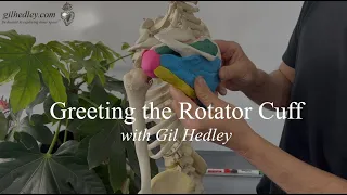 Greeting the Rotator Cuff: Learn Integral Anatomy with Gil Hedley