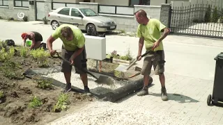 NOVÁ ZÁHRADA (28.6.2020 o 15:55 na JOJke)