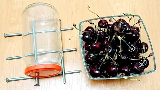 How to remove a stone from cherries and cherries using a regular jar  QUICKLY by improvised means