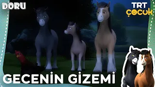 Doru | Gecenin Gizemi