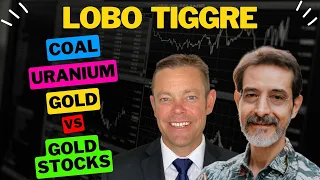 Lobo Tiggre: 2024 Outlook 🤔 Market Crash Kit 🧰 Pre-Production Sweet Spot 📈