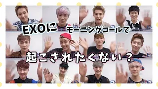 【EXO 日本語字幕】EXOのモーニングコールで起こされたくない？