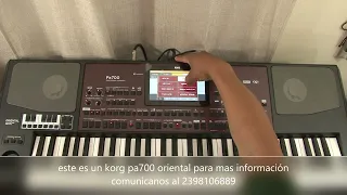 KORG PA 700 ORIENTAL Para Domingo Gomez De Alabama