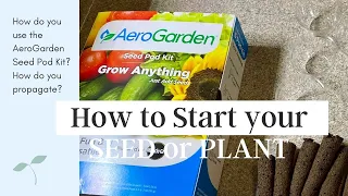 How to Start your own Seed or Plant Cutting - AeroGarden Grow Anything Seed Pod Kit