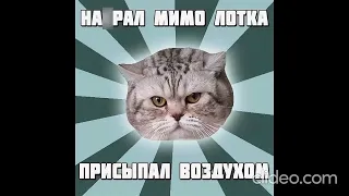 Мемы с котиками 5