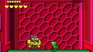 Battletoads [Level 10 - Rat Race]