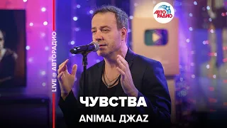 Animal ДжаZ - Чувства (LIVE @ Авторадио)