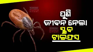 1 More Dies Of Scrub Typhus In Odisha's Bargarh