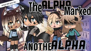 The Alpha Marked Another Alpha || Gacha Life Mini Movie || • GLMM •