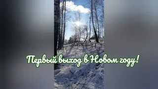 Первая охота на зайца в Новом году 2022!Первые промахи и трофей.