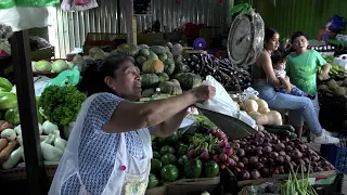 Papas, Cebolla y Chiltoma bajan de precios durante esta semana