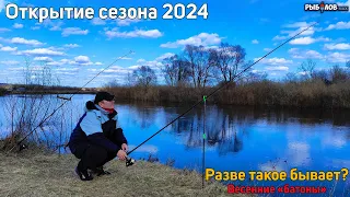 Открытие сезона 2024.Крупная плотва на фидер в апреле. Ловля леща и плотвы ранней весной