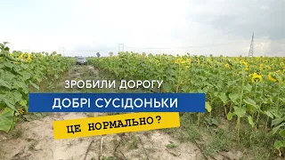 Гарних ми маємо сусідів. Комбайном просто поперек поля соняшнику...