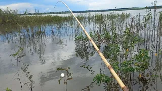 Usei cebo de boi para pescar traíra na tempestade só as Gigantes Pescaria Raiz