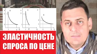 Эластичность спроса по цене | Экономическая теория и практика бизнеса