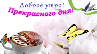 С Добрым Утром! 🌷Желаю Счастья и Позитива на весь день! Красивое пожелание с добрым утром🌸