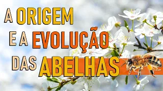 A Origem e a Evolução das Abelhas - Episódio 1 | ABELHAS