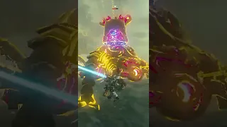 The Craziest BoTW Combo I’ve Ever Seen... #viral #Zelda #shorts