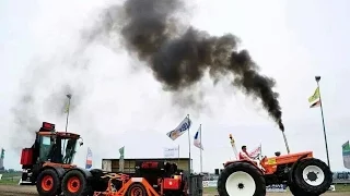 FIAT 1300DT Super | Tractorpulling team Schaeffer/den Engelsen | Trekkertrek Dirksland 2015