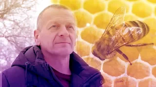 Ukraine: Beekeeping boosts veterans’ income and spirits