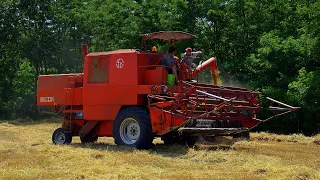 Żniwa 2023🔥Jęczmień🔥Bizon w Akcji🔥GR Nadolny🔥Zetor🔥