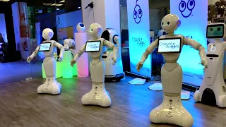 Pepper Robot Dance