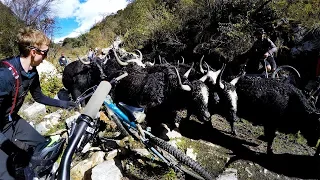 That bike is gonna get stomped | Mountain Biking Tibet Part 5